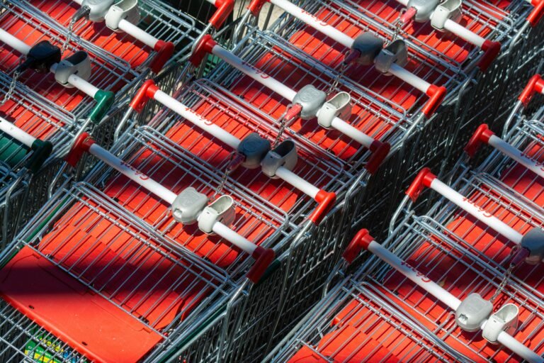 Auchan Recrutement 2026